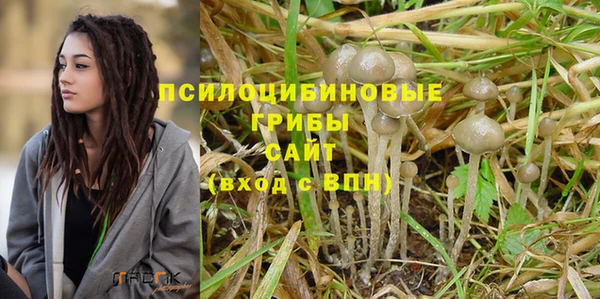 крисы Магадан