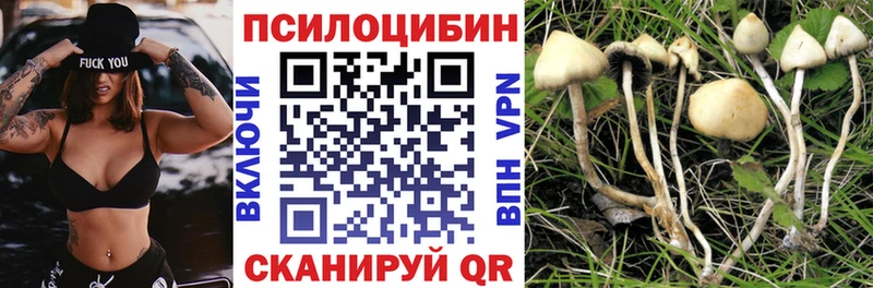 Галлюциногенные грибы Magic Shrooms Лихославль