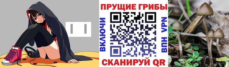 Галлюциногенные грибы ЛСД Лихославль