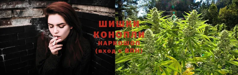 Конопля план  blacksprut ССЫЛКА  Лихославль 